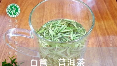 百意 普洱茶/2023042658350